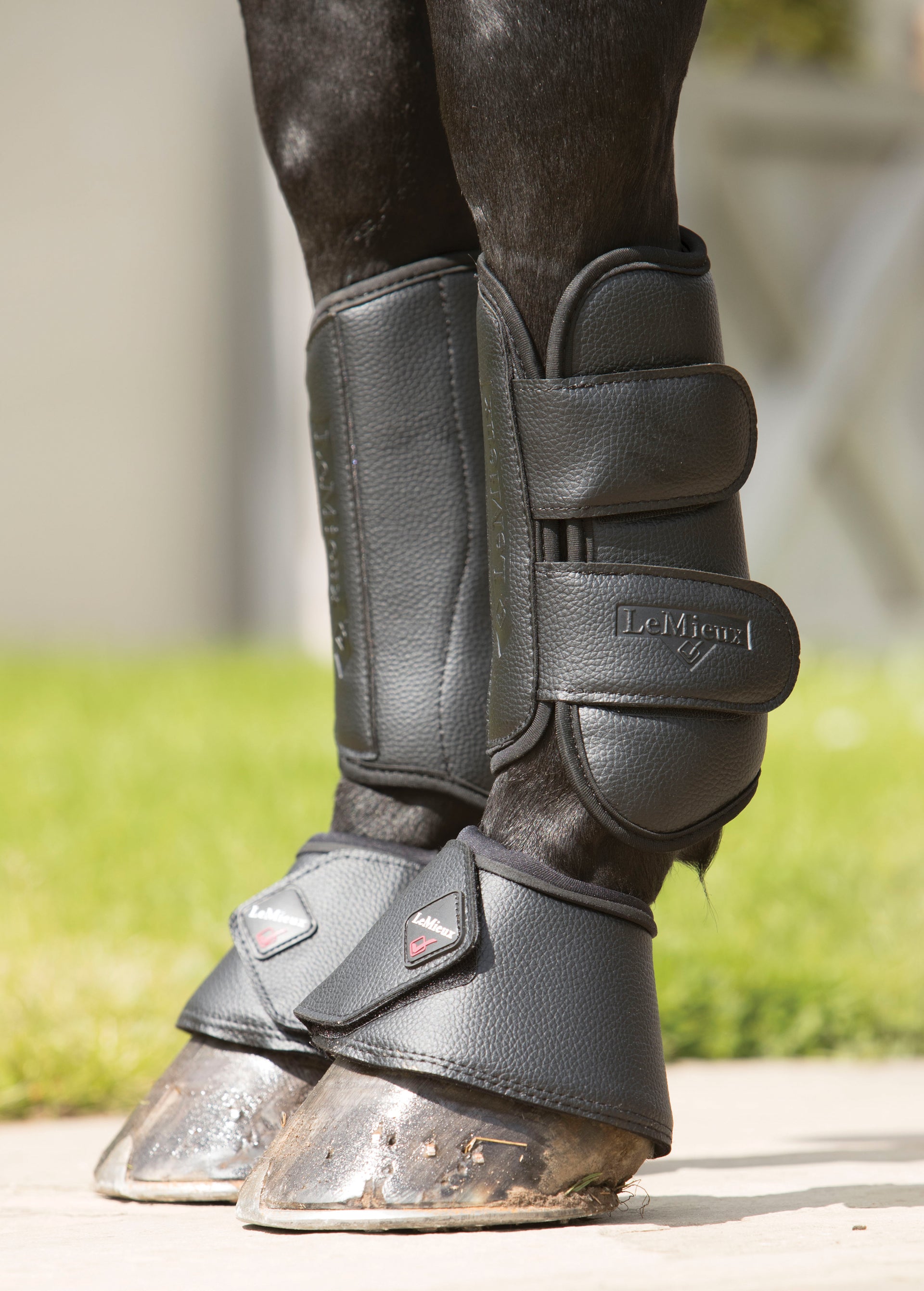 LeMieux Dressage Bottes d'école Mixte Adulte