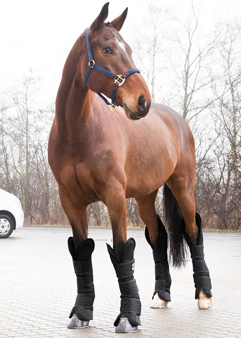 Horze Transport Boots