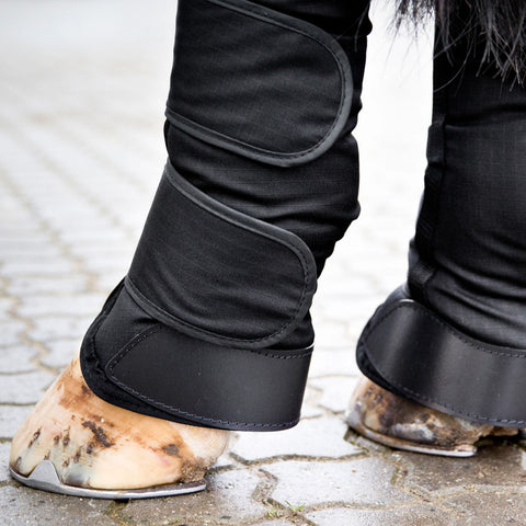 Horze Transport Boots