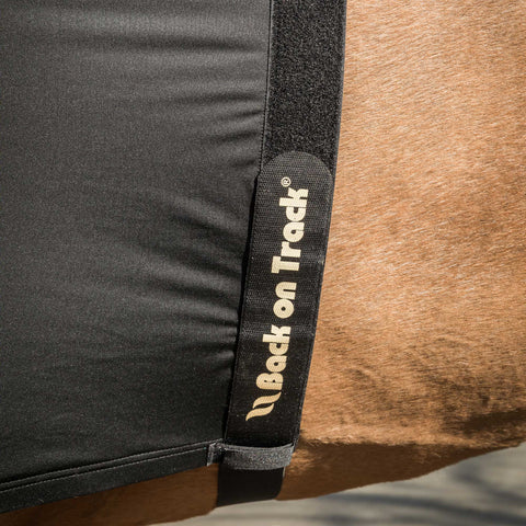 Back on Track® Therapeutic Equine Shoulder Guard Light