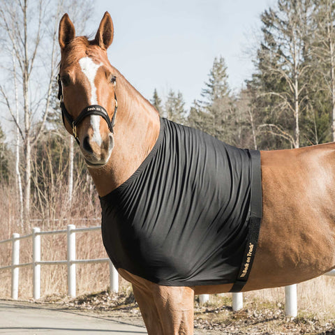 Back on Track® Therapeutic Equine Shoulder Guard Light