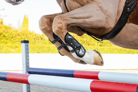 LeMieux® EXO Flex Tendon Boots