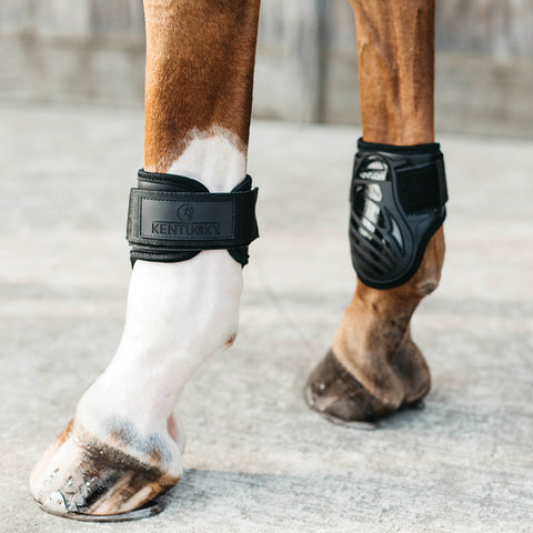 Kentucky Horsewear Young Horse Fetlock Boots
