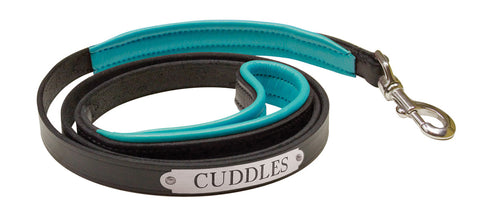 Perri’s® Padded Leather Nameplate Dog Leash
