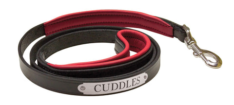 Perri’s® Padded Leather Nameplate Dog Leash