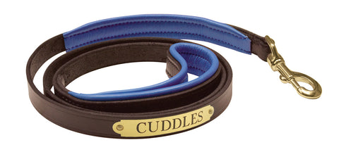 Perri’s® Padded Leather Nameplate Dog Leash