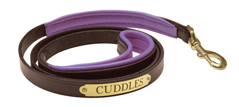 Perri’s® Padded Leather Nameplate Dog Leash