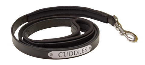 Perri’s® Padded Leather Nameplate Dog Leash