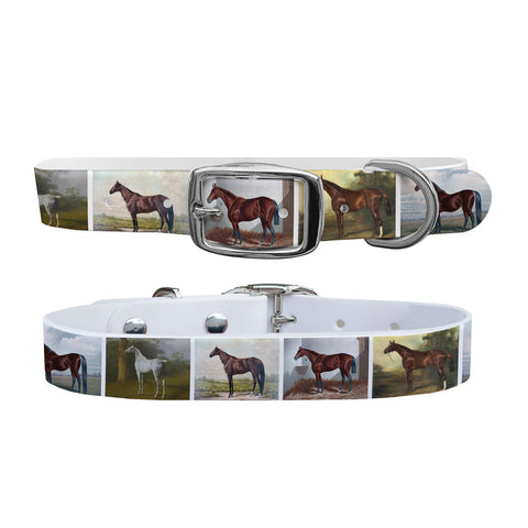 C4 Equine Print Dog Collar