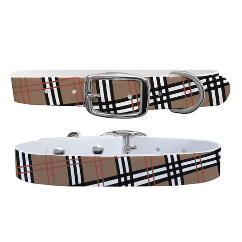 C4 Dog Collar