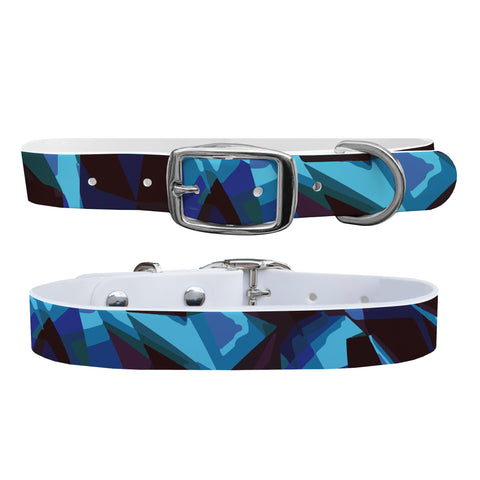 C4 Dog Collar