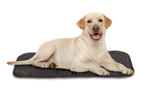 DS Saddle Pad Dog Mat