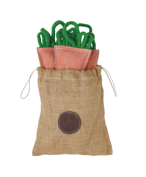 Dover Dog Carrot Bunch Dog Toy