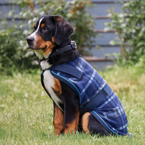 Rider’s International™  Dog Cooler