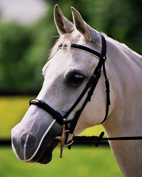 Equilibrium Net Relief Muzzle Net - Fly Masks & Wraps
