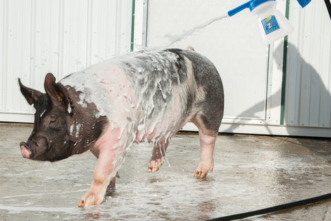 eZall® Total Body Wash Green