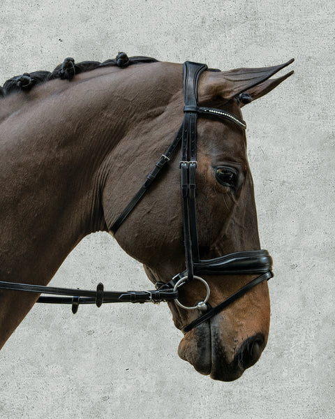 Schockemöhle Stanford Bridle