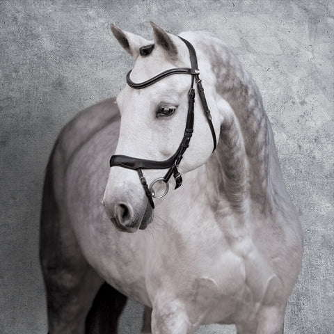 Schockemöhle Equitus Alpha Bridle