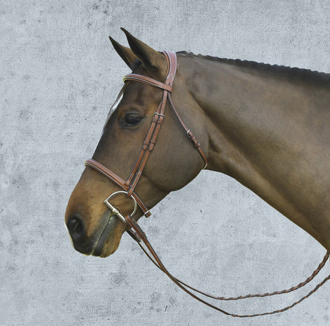 Pessoa® Pro Fancy-Stitched Raised Bridle