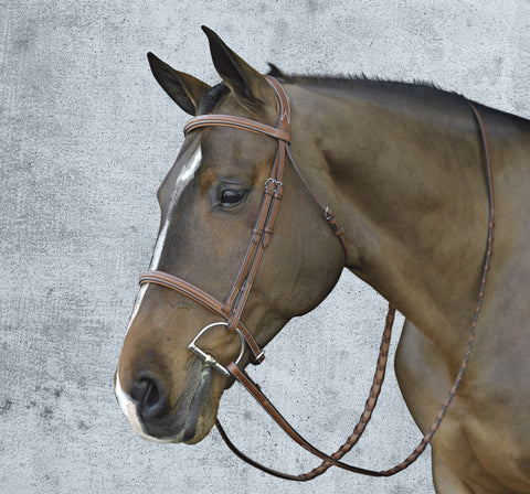 Pessoa® Pro Fancy-Stitched Raised Bridle
