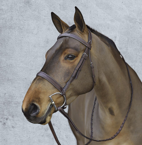Pessoa® Pro Fancy-Stitched Wide Nose Bridle