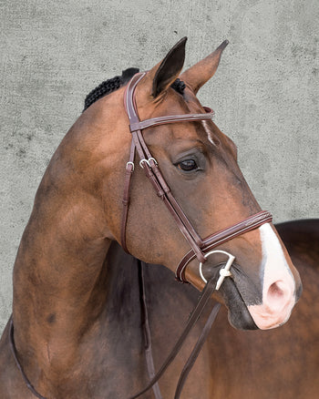 Schockemöhle Montreal Select Anatomic Hunter Bridle