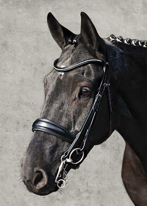 Schockemöhle Milan Anatomical Double Bridle