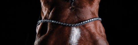 Collegiate® ComFiTec™ Crystal Bridle
