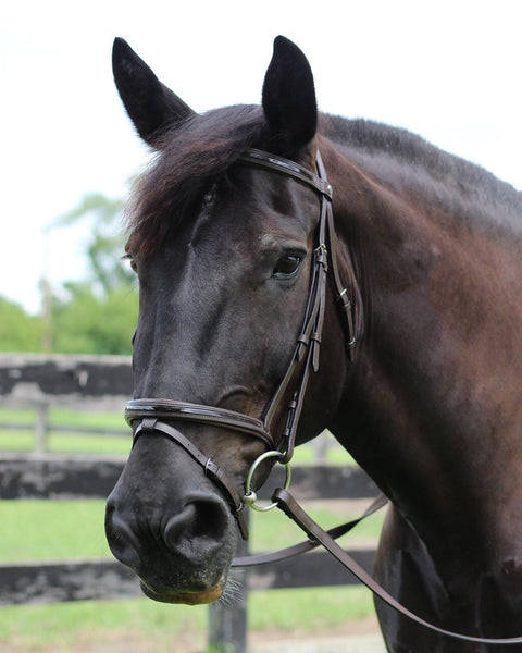 Henri de Rivel Piaffe Mono Crown Bridle with Flash Noseband & Patent Leather