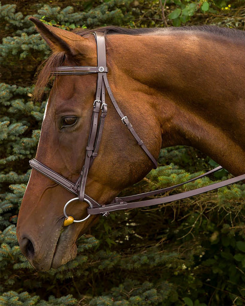 Henri de Rivel Fancy Raised Padded Bridle with Laced Reins