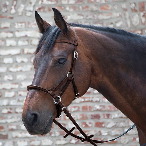 Waldhausen Linda Tellington-Jones Lindell Bridle