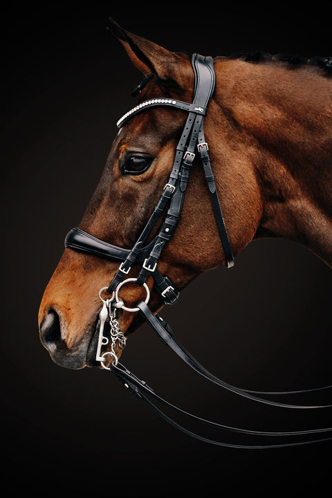 Schockemöhle Equitus Gamma Double Bridle