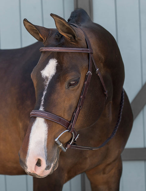 DS Classic Derby Bridle