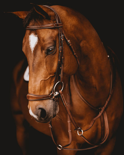 Arion Anatomic Drop Noseband Bridle