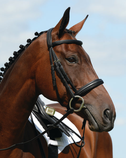 Collegiate® Syntovia+ Padded Raised Caveson Bridle