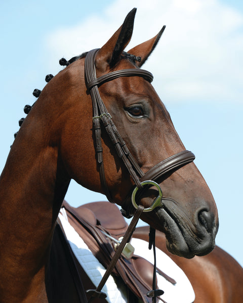 Collegiate® Syntovia+ Padded Raised Caveson Bridle