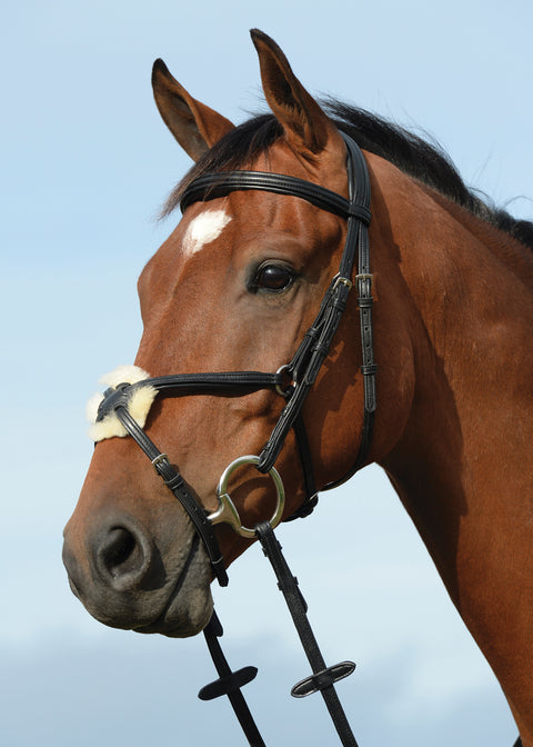 Collegiate® Syntovia+ Padded Raised Figure-8 Bridle