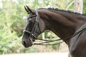 Royal King Silver Tube Show Bridle – Poggiatesta Con Doppio Orecchio, Pelle Olio Scura, Argento