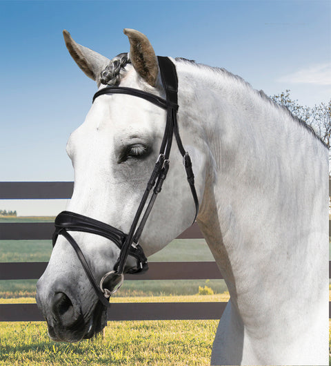 Acavallo® Maesta Bridle