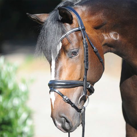 Kavalkade Charlotte Snaffle Bridle