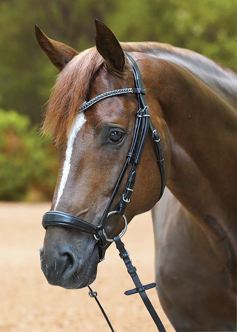 Kavalkade Isabella Drop Nose Bridle