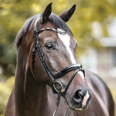 Kavalkade Ivana Snaffle Bridle