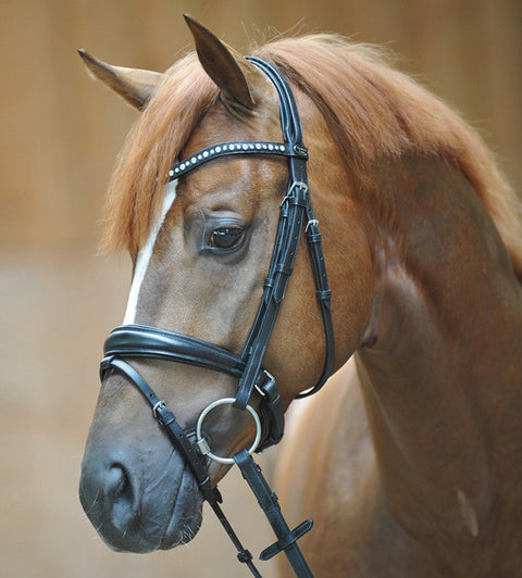 Kavalkade Mia Draft Bridle