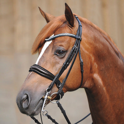 Kavalkade Antonia Patent Leather Double Bridle