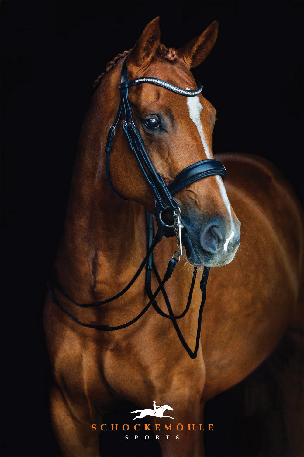 English Horse Tack Equipment Page Dover Saddlery english-horse-tack-equipment-page-dover-saddlery