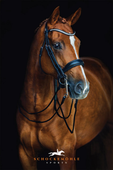 Schockemöhle Venice Double Bridle
