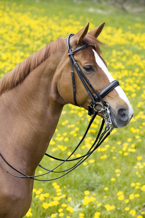 Kieffer Padded Ergonomic Line II Double Bridle