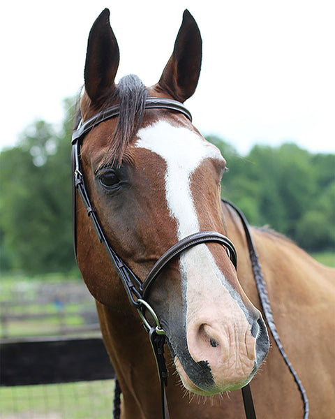 Henri de Rivel Pro Fancy Raised Bridle with Laced Reins
