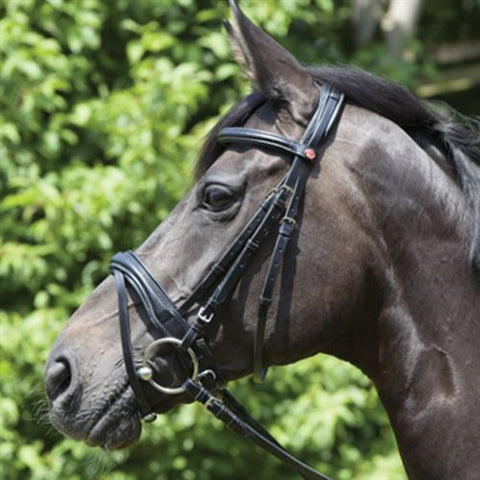 Kieffer Perseus Snaffle Bridle with Plain Browband