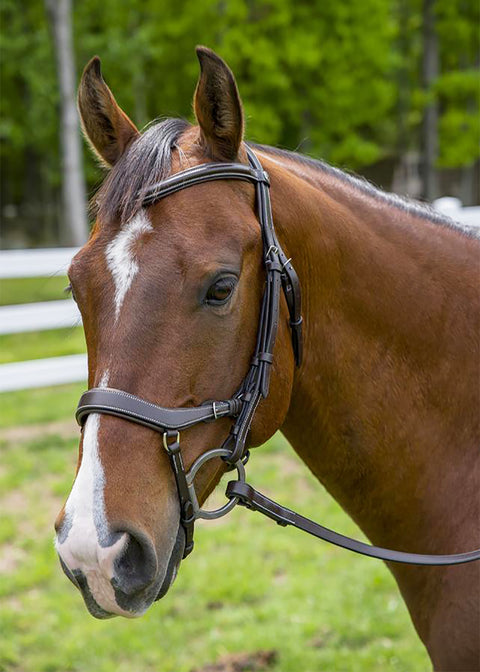 Henri de Rivel Pro Anatomical Bridle